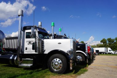 Waupun, Wisconsin ABD - 11 Ağustos 2023: Waupun 'un geleneksel kamyonet fuarına birçok farklı renkli kamyonlar geldi.