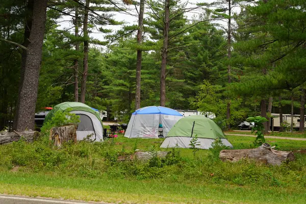 Ormanın arka planında kamp malzemeleri olan kamp çadırı.