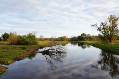 Doğanın güzel manzarası
