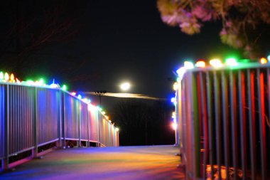 Wisconsin, Fond du Lac 'taki Lakeside parkını süsleyin.