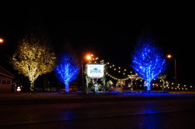Fond du Lac, Wisconsin / USA - 17 Aralık 2018: Stuart 's Peyzaj Şirketi, Lakeside Park yakınlarında bulunan bahçelerini Noel ışıklarıyla donattı.