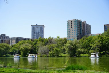 Milwaukee, Wisconsin / ABD - 14 Ağustos 2020: Milwaukee vatandaşları gazi parkında kuğu botlarıyla kürek çekiyorlar.