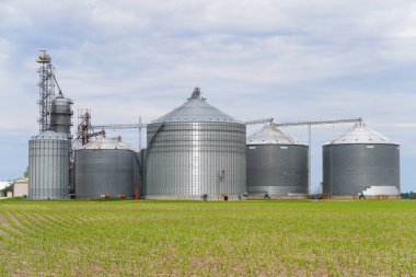 Yeni Lizbon, Wisconsin ABD - 20 Nisan 2023: Tahıl ambarları ve tahıl asansörleri tarım arazisinde.