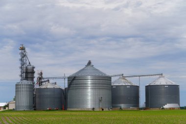 Yeni Lizbon, Wisconsin ABD - 20 Nisan 2023: Tahıl ambarları ve tahıl asansörleri tarım arazisinde.