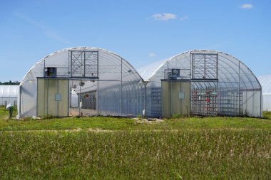 Mauston, Wisconsin ABD - 14 Ağustos 2021: Çiftlik arazisinde bulunan uzun seralar.