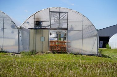 Mauston, Wisconsin ABD - 14 Ağustos 2021: Çiftlik arazisinde bulunan uzun seralar.