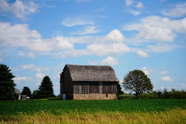 Eski ahşap terk edilmiş çiftlik ahırı, Wisconsin 'in dışında bir tarlada duruyor..