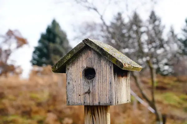 Houten Vogelhuisjes Zitten Buiten Tijdens Het Herfstseizoen Fond Lac Wisconsin — Stockfoto