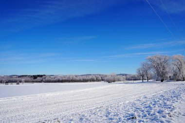 Campbellsport, Wisconsin 'in dışındaki dondurucu kış manzarası