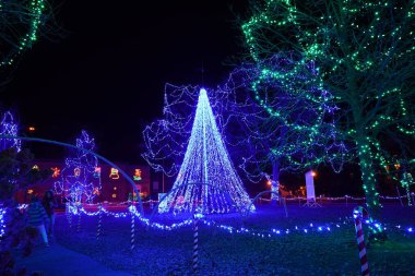 La Crosse, Wisconsin ABD - 29 Kasım 2020: Noel ışıkları, tatil için nehir kenarındaki parkı süslüyor.