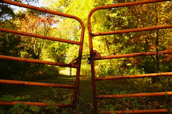 Ржавые Старые Прикованные Ворота Стоят Перед Тропой Естественного Прохода Осенью — стоковое фото