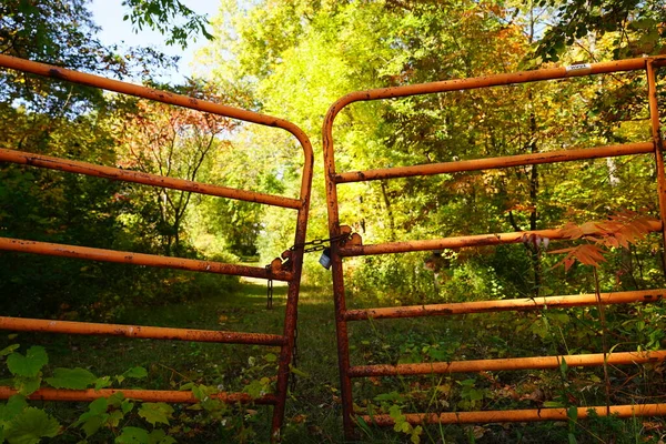 Ржавые Старые Прикованные Ворота Стоят Перед Тропой Естественного Прохода Осенью — стоковое фото