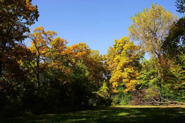 Exuberante Bosque Color Otoñal Las Afueras Fond Lac Wisconsin — Foto de Stock