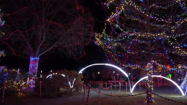 Crosse Wisconsin Verenigde Staten November 2020 Kerstverlichting Verkleed Het Rivierpark — Stockvideo