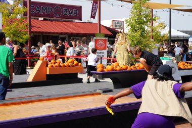 Milwaukee, Wisconsin ABD - 30 Eylül 2023: Aileler Wisconsin Eyalet Fuarı 'nda toplanarak Hasat Fuarı' nın balkabağı tarlasından balkabağı topladılar.