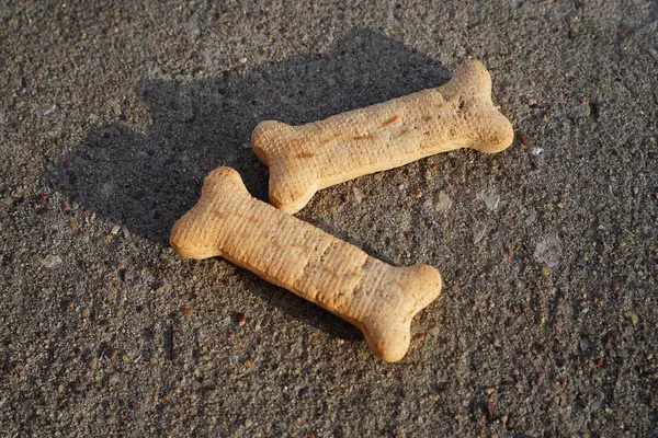 Dog treats in a bone shape