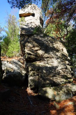 Uzun kaya oluşumları bir ormanda kaya tırmanışı için dururlar..