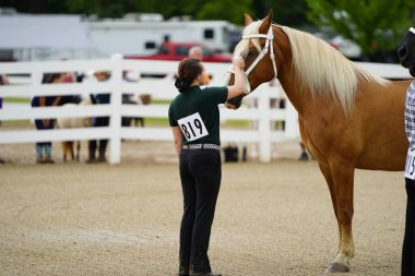 Fond du Lac, Wisconsin / USA - 17 Temmuz 2019: Atlı genç kız Fond du Lac, Wisconsin 'deki bir at çiftliğinde at gösterisinde
