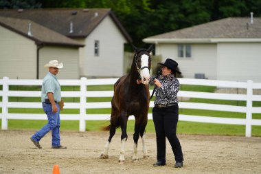 Fond du Lac, Wisconsin / USA - 17 Temmuz 2019: Atlı genç kız Fond du Lac, Wisconsin 'deki bir at çiftliğinde at gösterisinde