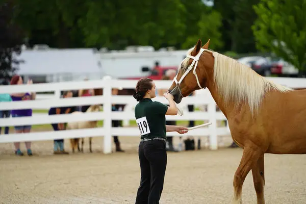 ウィスコンシン州フォンデュラック アメリカ 7月17日 2019 ウィスコンシン州フォンデュラックの公共の馬場で馬ショーで馬を持つ若い女の子 ストックフォト
