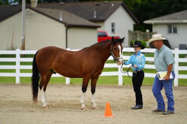 Fond du Lac, Wisconsin / USA - 17 Temmuz 2019: Atlı genç kız Fond du Lac, Wisconsin 'deki bir at çiftliğinde at gösterisinde