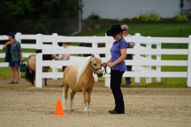 Fond du Lac, Wisconsin / USA - 17 Temmuz 2019: Atlı genç kız Fond du Lac, Wisconsin 'deki bir at çiftliğinde at gösterisinde