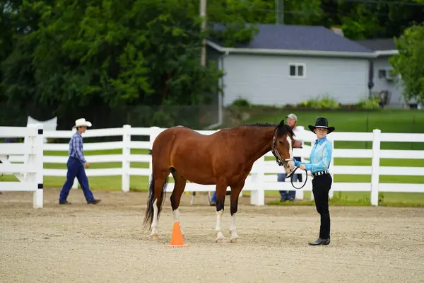 Fond Lac Wisconsin July 2019 Young Girl Horse Horse Show — 图库照片