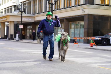 Milwaukee, Wisconsin ABD - 12 Mart 2022: İrlandalı kurtlar ve sahipleri Aziz Patrick Günü geçit töreninde yürüyorlar.