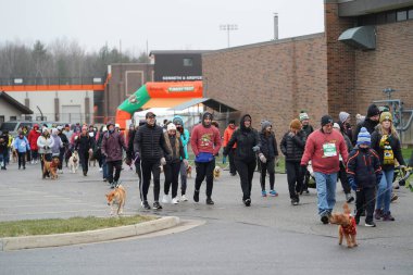 Marshfield, Wisconsin ABD - 25 Kasım 2021: Festival Gıda Şükran Günü için yıllık Türkiye Turu düzenledi.