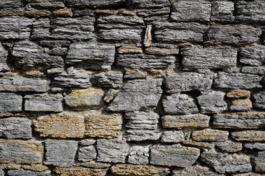 Taş duvar dokusu arkaplanı