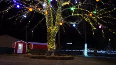 Çelenkleri ve ışıkları olan Noel ağacı.