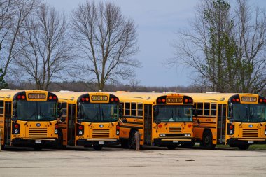 Tomah, Wisconsin ABD - 2 Temmuz 2023: Kısa sarı okul otobüsleri hala kullanılmaya hazır.