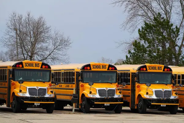 Tomah, Wisconsin ABD - 2 Temmuz 2023: Kısa sarı okul otobüsleri hala kullanılmaya hazır.