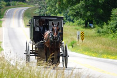 Ripon, Wisconsin ABD - 24 Haziran 2024: Kırsal bir yolda at arabası süren Amish halkı.