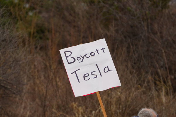 Madison, Wisconsin USA - March 29th, 2025: Liberal Democrats protest with signs in a large group in front of Tesla Dealership showroom during the national Tesla Takedown event.