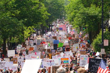 Madison, Wisconsin ABD - 14 Haziran 2025: Pankartlı protesto kalabalığı Kralsız etkinlik sırasında bir araya geldi.