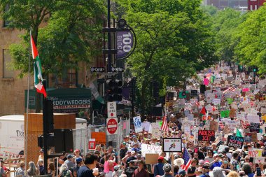 Madison, Wisconsin ABD - 14 Haziran 2025: Vatandaş hakları göstericileri Kralsız etkinlik sırasında protesto için bir araya geldi.
