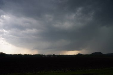 Bir yaz günü çayırda fırtına bulutları toplanıyor.