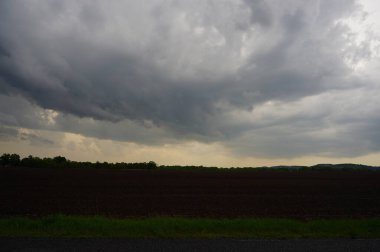 Bir yaz günü çayırda fırtına bulutları toplanıyor.