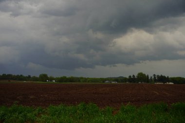 Bir yaz otlağında gökyüzünde fırtına bulutları