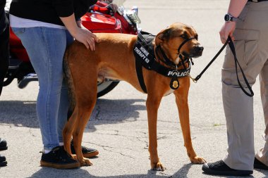 Green Bay, Wisconsin ABD - 28 Haziran 2025: Wisconsin 'in dört bir yanından ve diğer ülkelerden polis memurları Işıklar Topluluğu etkinliğine katıldı ve diğer insanlar ve çocuklarla etkileşime girdi.