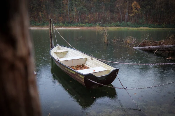 Barco Remos Está Deitado Chuva Lago — Fotografia de Stock