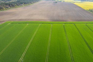 Yeşil alan henüz ekilmemiş bir tarlaya bitişiktir.