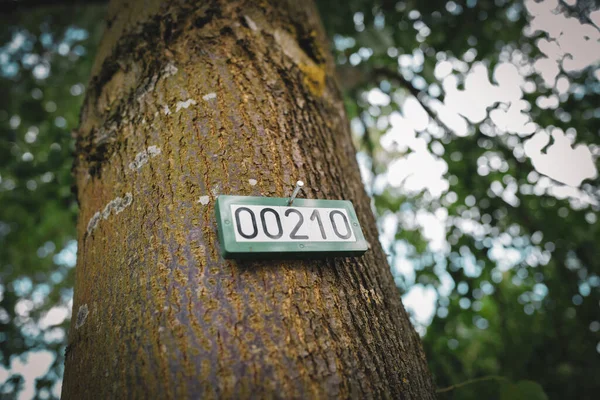 Drzewa Ponumerowane Kolejno Znakiem — Zdjęcie stockowe