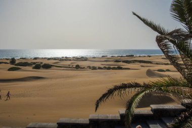 Gran Canaria Adası 'ndaki Maspalomların büyük kumulları doğal bir manzaradır.