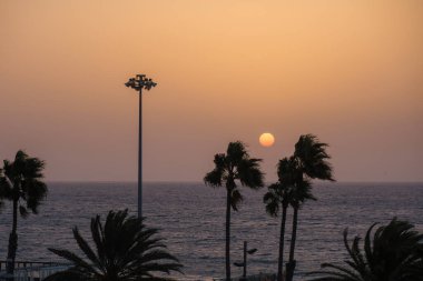 Bazı palmiye ağaçlarının arkasında güneş denizin üzerinde doğar.