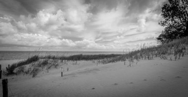 Bulutlu bir gökyüzünün altında Baltık Denizi sahili manzarası