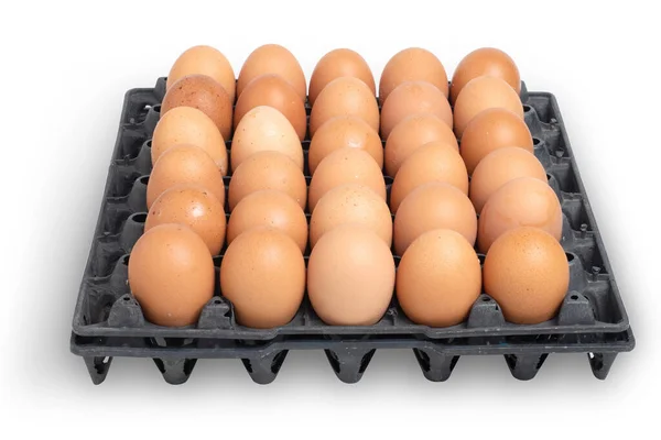 Eggs in black plastic carton packaging. Brown chicken egg in tray. Food nutrition from hen. Healthy protein low cholesterol and tasty breakfast. Natural healthy food and organic farming concep
