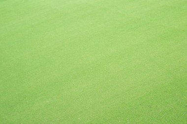 Taze Yeşil Çim. Çevre dostu tasarımlar için Doğa Canlı Manzara Arkaplanı. Doğayı gençleştiriyor. Taze Yeşil Çimen Tasarım Projeleri 'nin bereketli çayır manzarası. Parlak Bahar Yeşillik Tazeliği