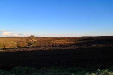 Buğday ekmeye hazır bir tarla. Zenginler, karanlık topraklar sıra sıra sürüldü. Toprak kütleleri yere saçıldı..